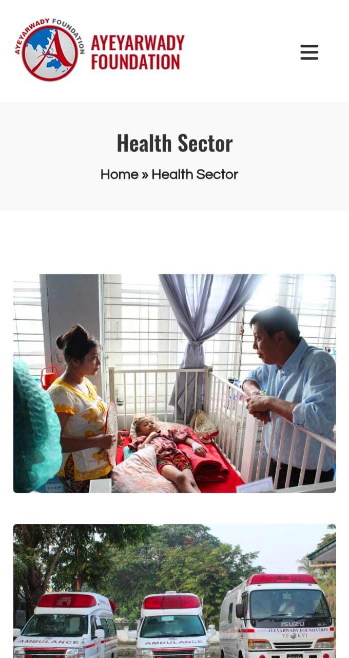 AYF-health-sector