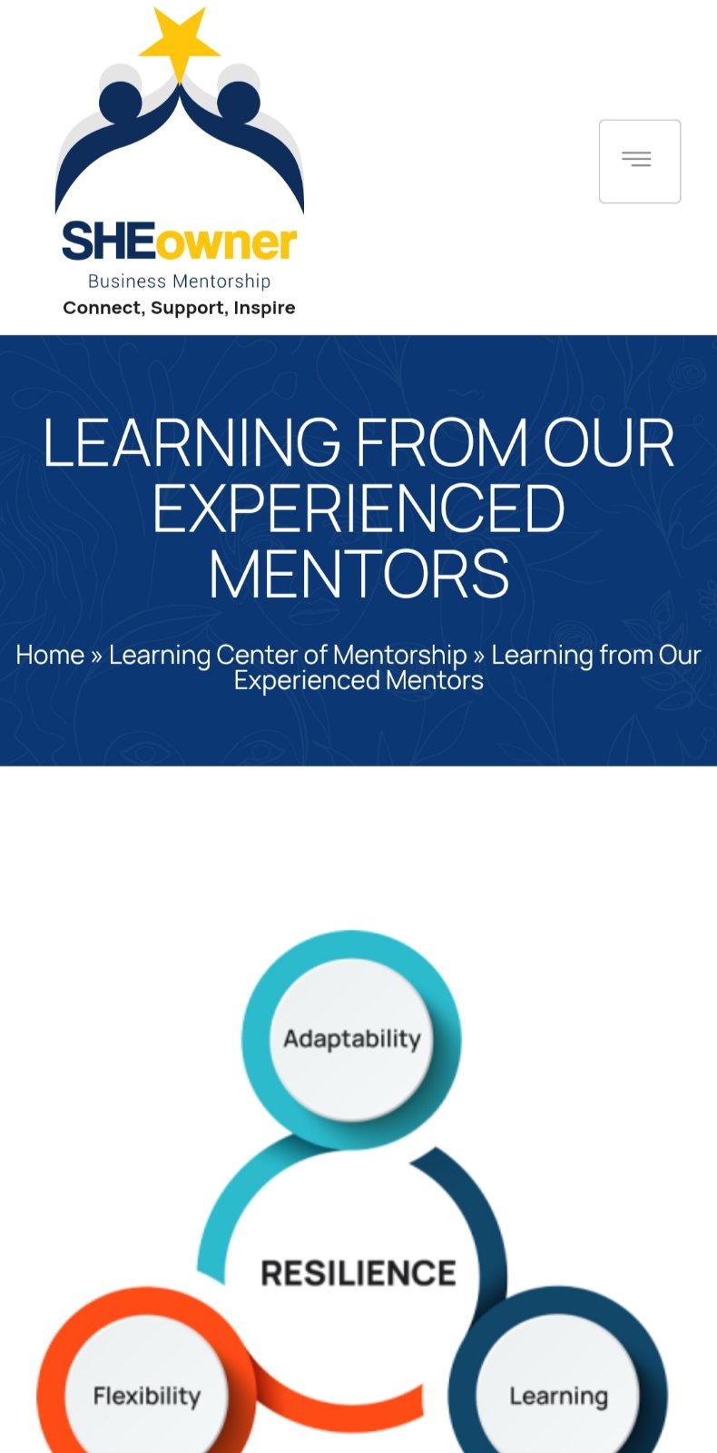 SHEowner-mobile-learning